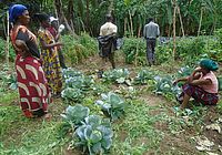Nachhaltige Landwirtschaft in Tansania