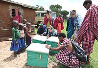 Bienenprojekt für Maasai